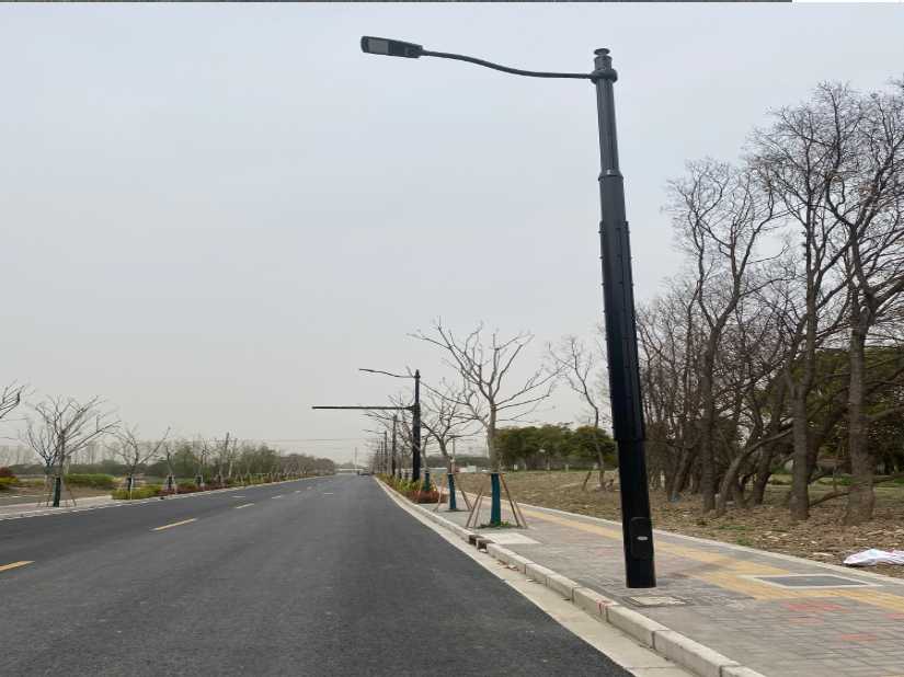 赤坎区上海综合杆 太阳能路灯工程